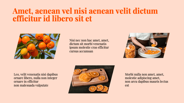 Parallex Orange Dynamic slide 6